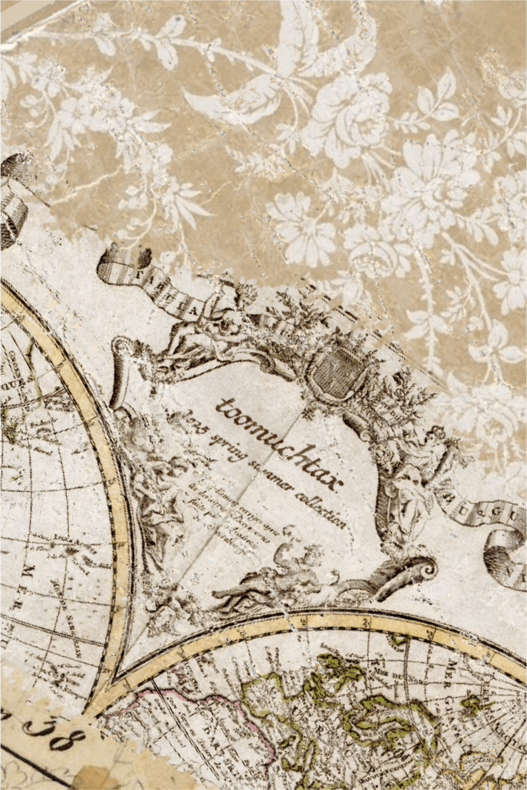 VINTAGE MAP BUMPER CASE