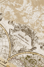 VINTAGE MAP BUMPER CASE