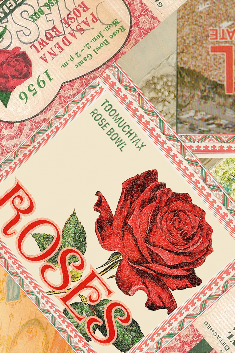 ROSE BOWL BUMPER CASE