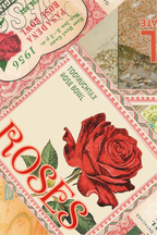 ROSE BOWL BUMPER CASE
